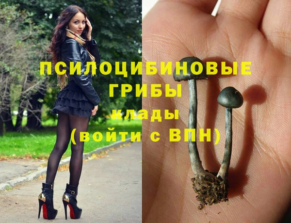 спайс Заводоуковск