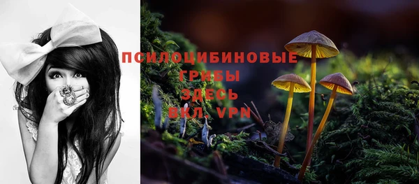 круглые Заволжск