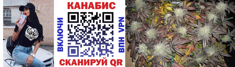 Конопля OG Kush  Купить где  Звенигово 